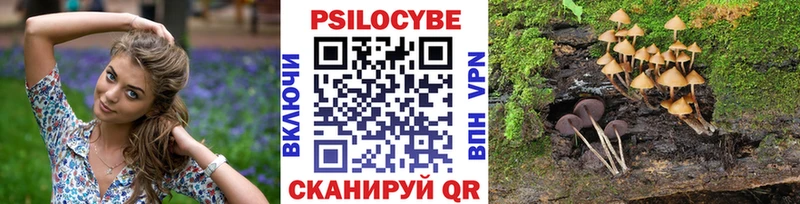 Купить  Хвалынск  Псилоцибиновые грибы мухоморы 