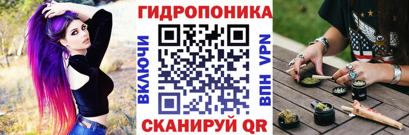 Купить  Хвалынск  Канабис ГИДРОПОН 